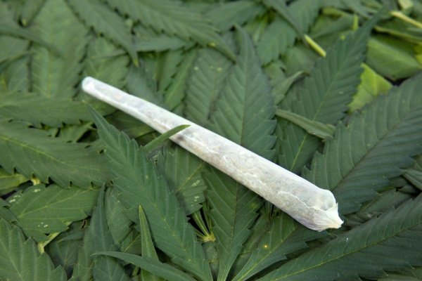 Canada este prima țară din G7 care va legaliza marijuana