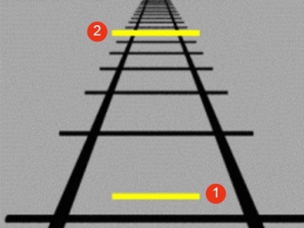 Care dintre linii este mai lungă? Testul care-ți verifică vederea