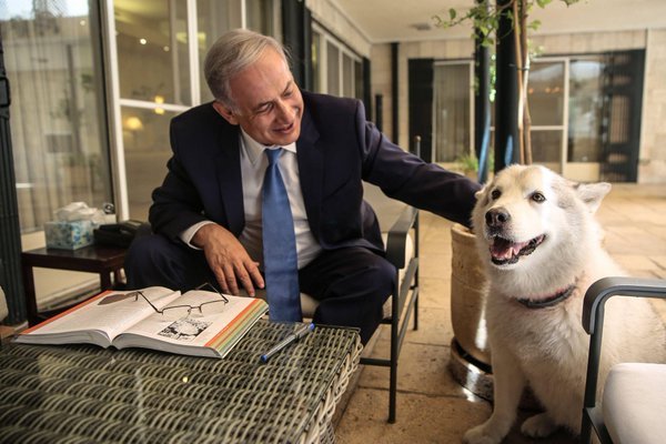 Câinele lui Netanyahu şi-a înfipt colţii în doi invitaţi de Hanuka