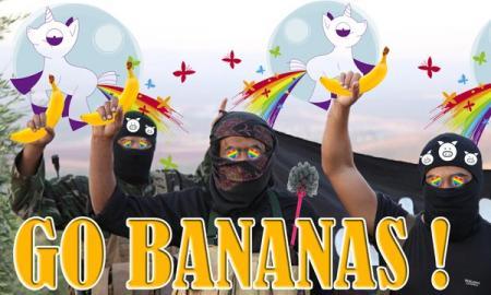 Hackerii Anonymous cheamă internauţii să ironizeze Statul Islamic. Vezi rezultatele provocării 348590