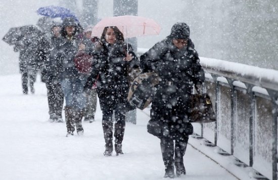 Ninge în București și în alte zone din țară
