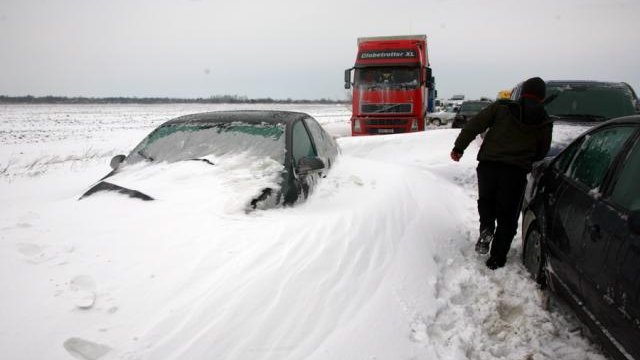 Iarna blândă ţine cu autorităţile incompetente. Perdele forestiere pentru autostrăzi, abia peste două decenii