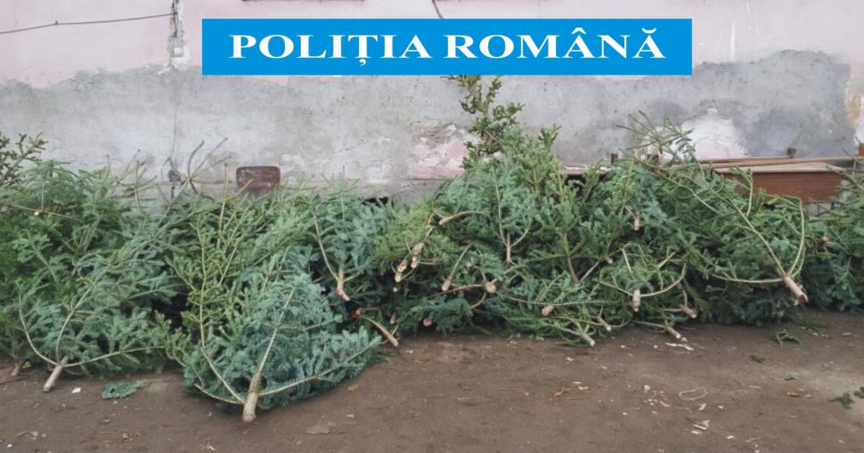 Brazi tăiați și abandonați pe străzile din Cluj 351127