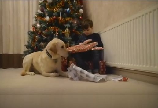 Momentul emoţionat în care un băieţel cu autism deschide pentru prima dată cadourile de la Moş Crăciun