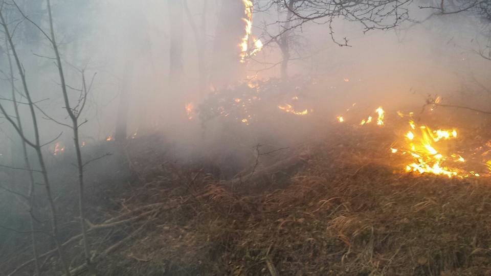 Incendiu de pădure în judeţul Buzău. Imaginile dezastrului, surprinse de un pompier
