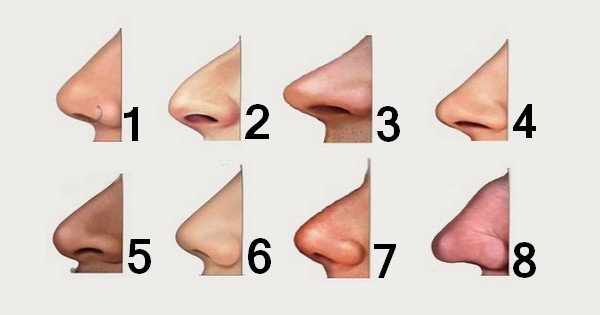 Ştiai că forma nasului poate spune multe despre caracterul unei persoane? Vezi ce ascund trăsăturile feţei