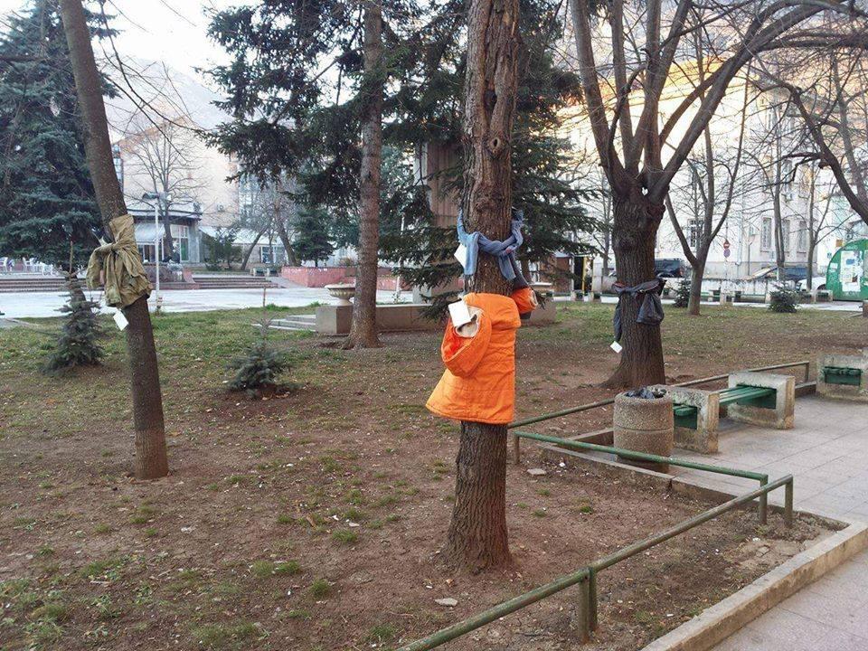 Au ieșit pe stradă și au văzut ceva uimitor. De ce aveau toți copacii haine pe ei 353991