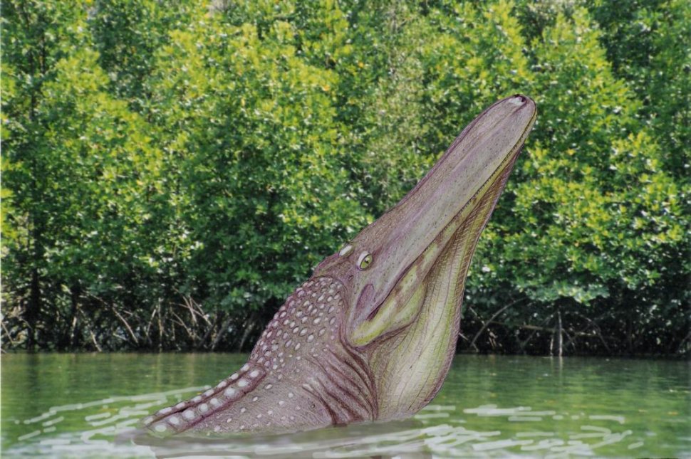 Descoperire uluitoare. Un crocodil de dimensiuni monstruoase, găsit în Africa