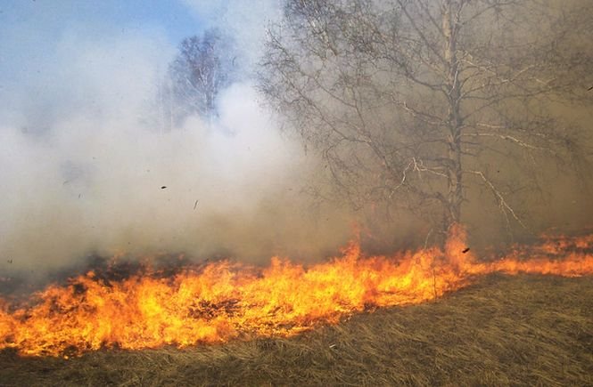 Mafia pădurilor și-a schimbat strategia: Zone incendiate voluntar