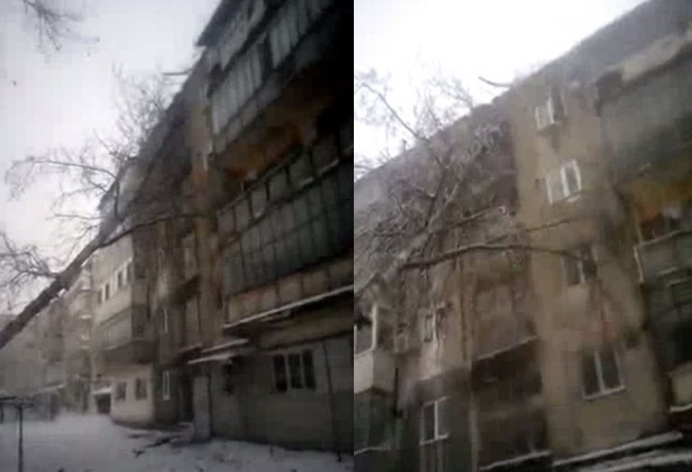VIDEO Copac prăbușit peste un bloc de locuințe. Autoritățile ridică din umeri