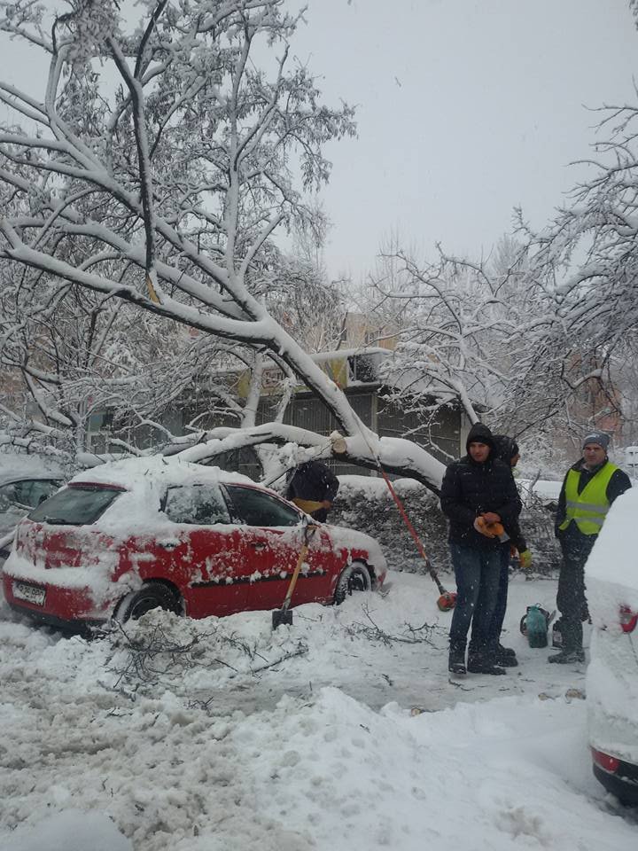 ISU București: 500 de copaci și stâlpi de electricitate căzuți