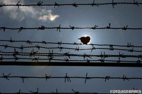 Ungaria amenință din nou România cu ridicarea unui gard la graniță 