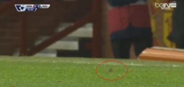 Un şoarece a fost văzut pe teren, la meciul Manchester United - Southampton