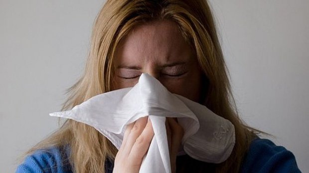 Gripa porcină se răspândeşte alarmant în România. Peste 20 de cazuri au fost confirmate