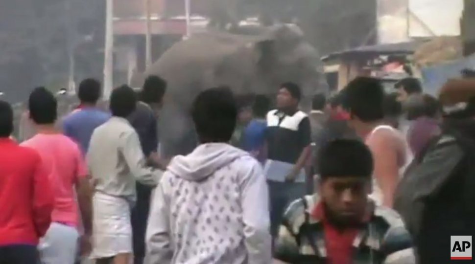 VIDEO. Un elefant sălbatic a creat haos într-un oraș indian. Animalul a distrus mai multe case și mașini