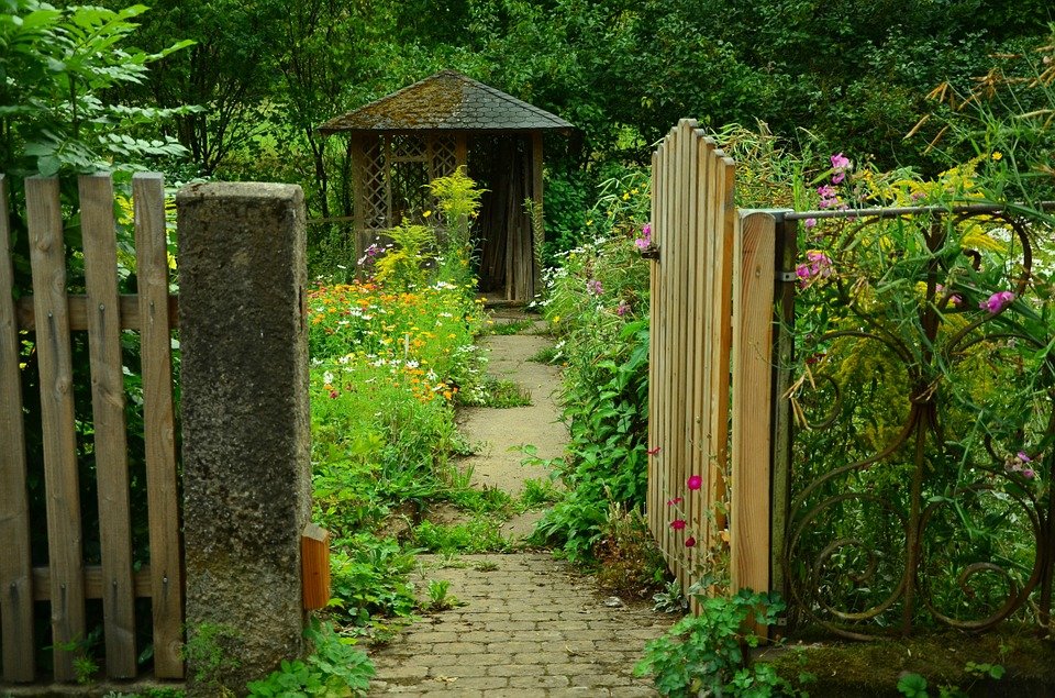 Descoperire șocantă în grădina unui bărbat din Botoșani