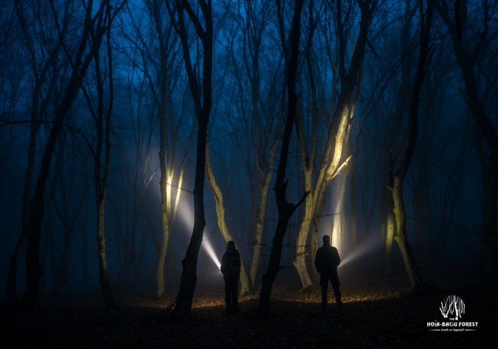 Misterele paranormale din Pădurea Hoia-Baciu, subiect de film