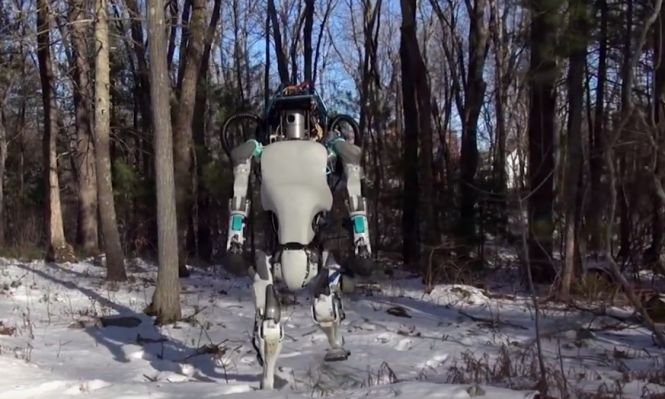 Robotul care înlocuiește omul. Are capacități uimitoare. VIDEO