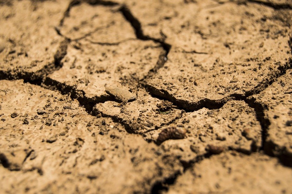 Țara care se luptă cu cea mai dură secetă din ultimii 900 de ani