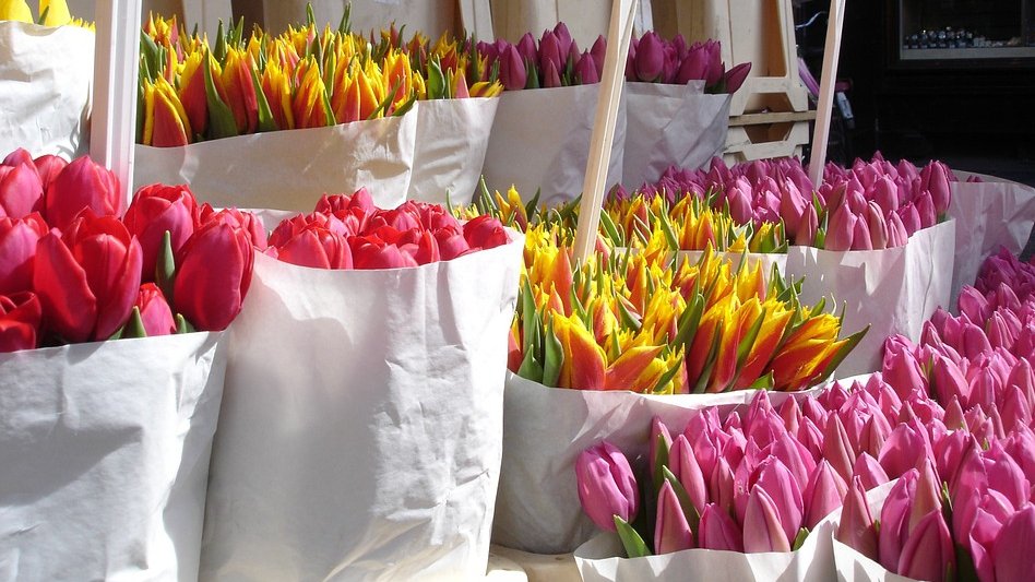 ANAF a descins în Piața de Flori din Capitală. Comercianții: ”Noi suntem florari, nu hoți!”