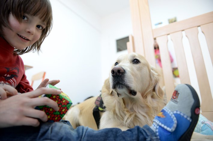 Aksel, câinele care a adus zeci de copii cu autism la lumină, este în stare gravă