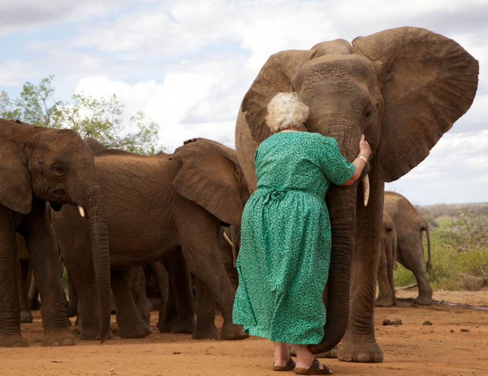 Elefanții stau la rând ca să o îmbrățișeze pe această bătrână. Motivul este absolut emoționant - VIDEO