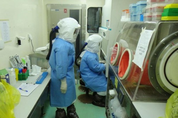 Medicament minune împotriva Ebola, testat cu succes pe maimuțe 