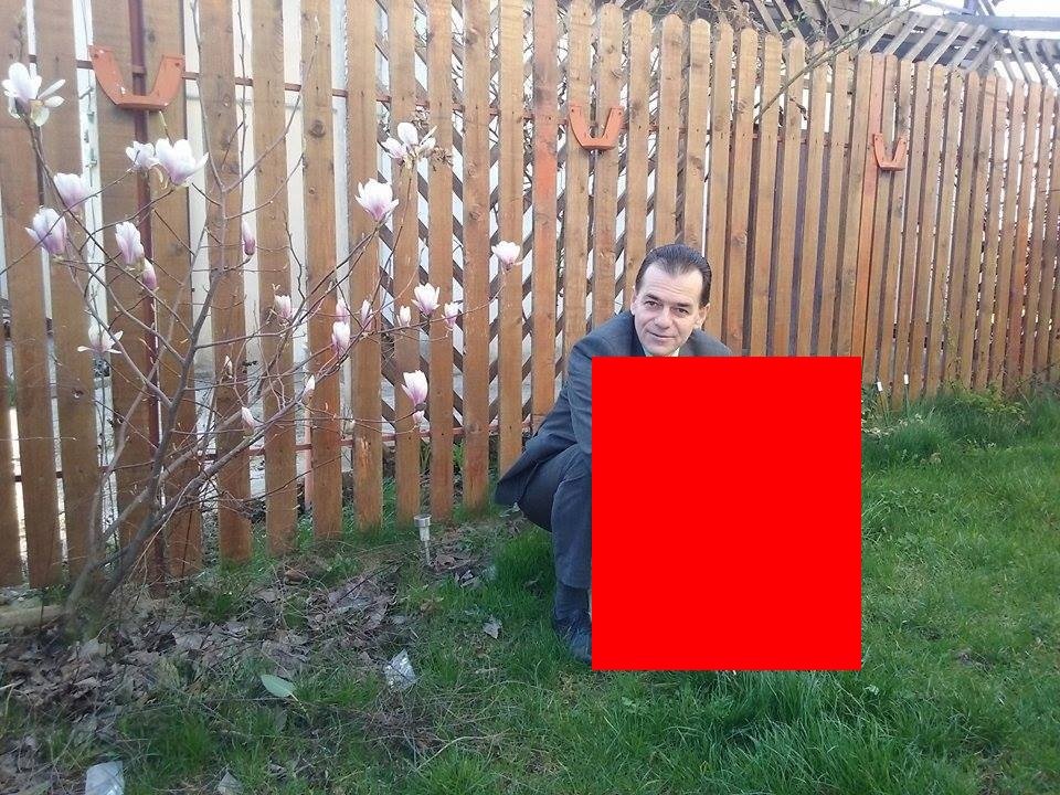  Ludovic Orban a făcut o fotografie în grădina casei. Internauții au reacționat dur, Orban a ripostat și el