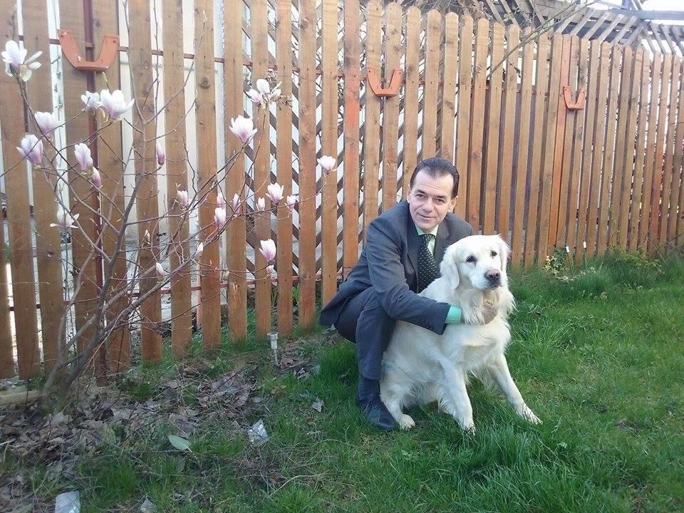  Ludovic Orban a făcut o fotografie în grădina casei. Internauții au reacționat dur, Orban a ripostat și el 370199