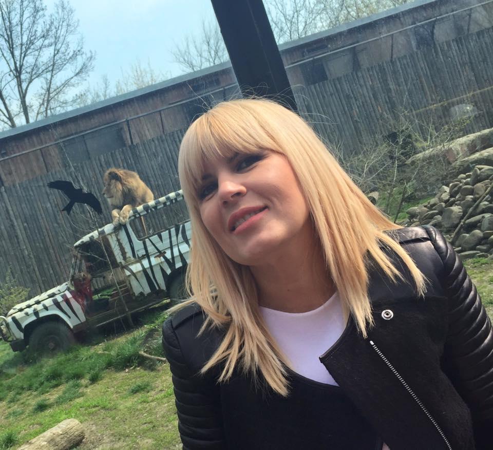 Lumea s-a trezit cu ea la Grădina Zoo. Nu le-a venit să creadă când au văzut-o 371681