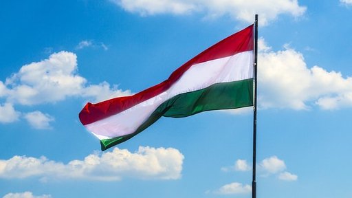 Ce a pățit primarul UDMR care a arborat steagul Ungariei pe primărie