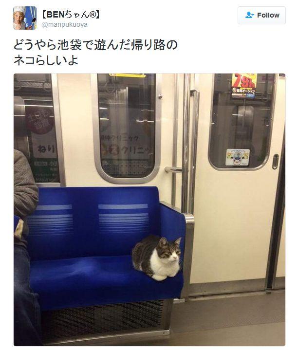 Apariție surpriză la metrou. Oamenii nu-și puteau dezlipi privirile de la ea 373462