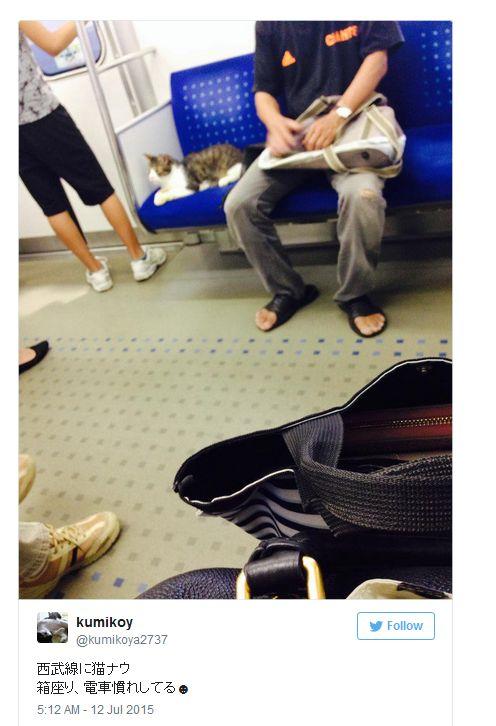 Apariție surpriză la metrou. Oamenii nu-și puteau dezlipi privirile de la ea 373463