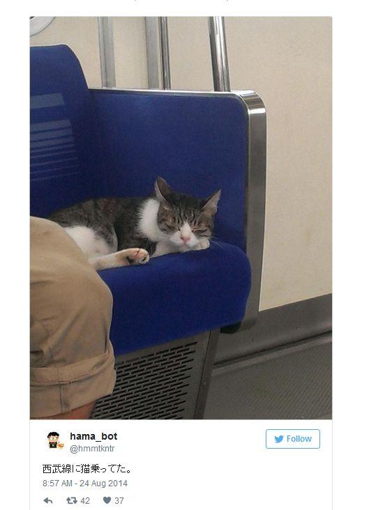 Apariție surpriză la metrou. Oamenii nu-și puteau dezlipi privirile de la ea 373464