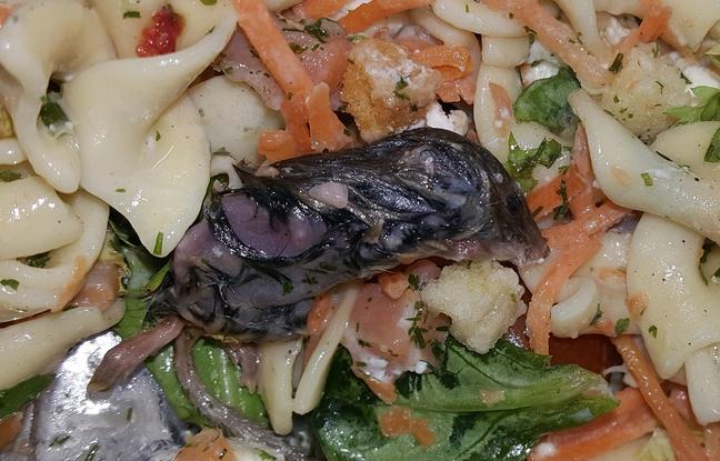 A vrut să mănânce o salată sănătoasă. Ce a putut însă găsi în ea (Foto) 373991