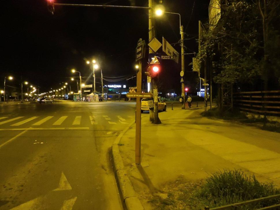 Protest împotriva construirii unei Mega Moschei în București. Sute de cruci de lemn, amplasate pe stâlpi 373885