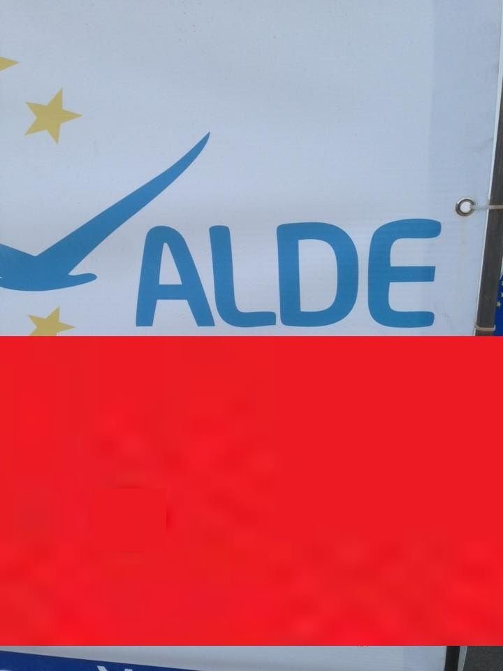 Gafă. Ce scrie pe bannerul ALDE