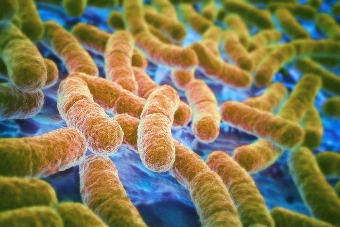 Frightening revelations on the Daily Summary: The children in Argeș did not die because of the E.coli