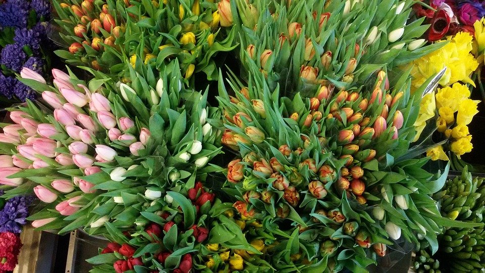 Sfântul Gheorghe și Florii. Analiză KeysFin - Afacerile cu flori cresc spectaculos pe fondul apetitului românilor pentru zile onomastice