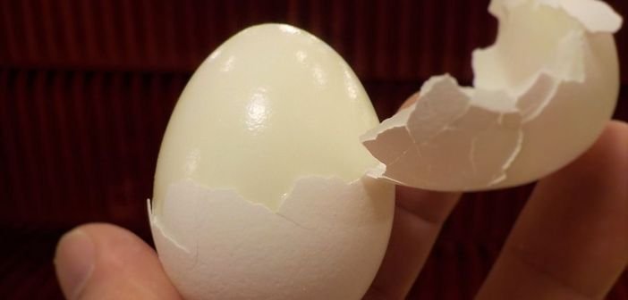  Metoda geniala prin care cureti un ou fiert de coaja in 5 secunde!