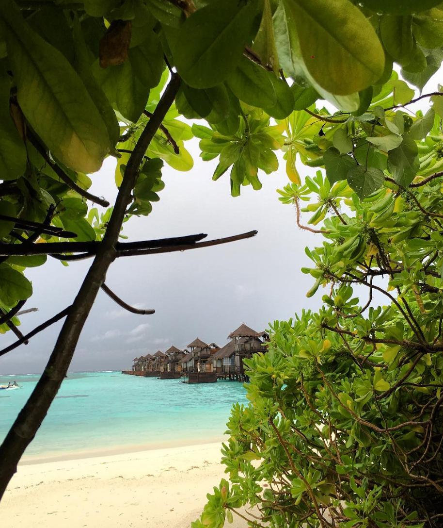 Delia a plecat in Maldive! Imaginile ei din paradis - Cum s-a trezit de dimineata  379946