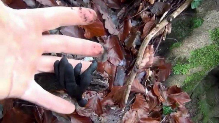 A mers la mormantul tatalui, dar a avut socul vietii cand a vazut ce iesise din pamant 383068