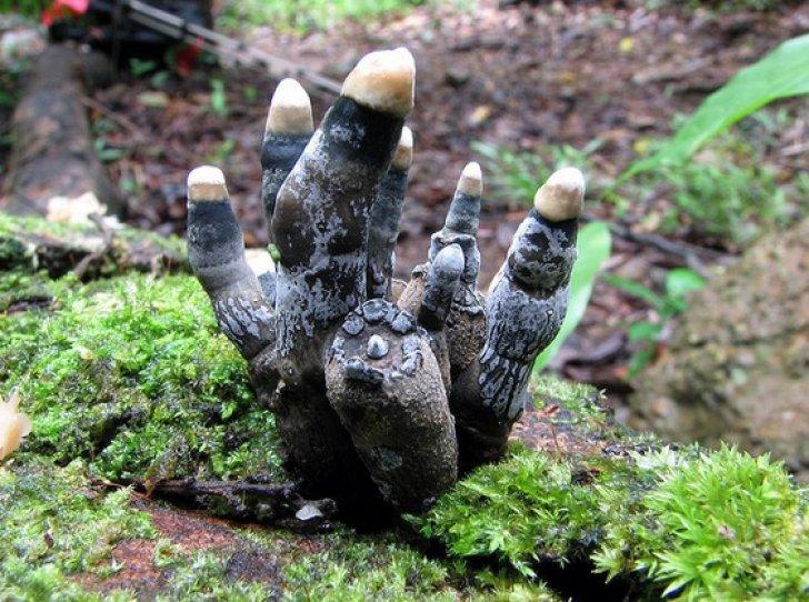 A mers la mormantul tatalui, dar a avut socul vietii cand a vazut ce iesise din pamant 383069