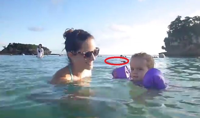 Înoată alături de copiii săi, dar ce se întâmplă după câteva momente a fost vizionat de peste 15 milioane de ori - VIDEO