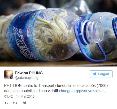 Au avut un soc cand si-au dat seama ca ceva misca in mai multe sticle de plastic! Le-au dat lacrimile si au pus instant mana pe foarfece 387498