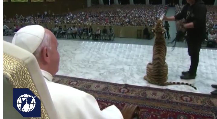 Papa Francisc, vizitat de un pui de tigru la Vatican