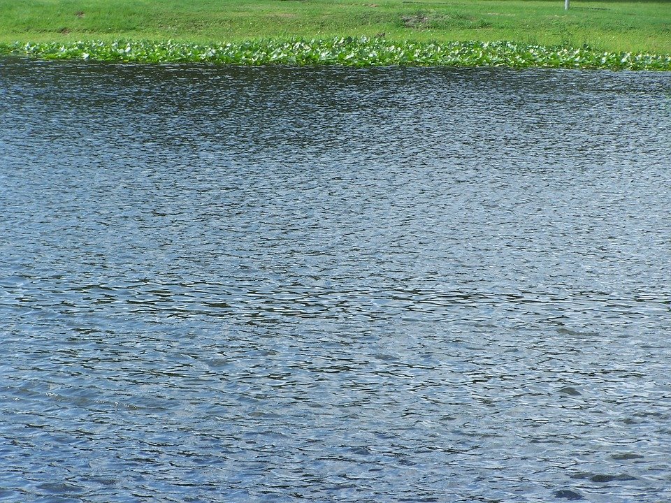 Apele unui lac şi-au cerut tributul! Un băiat de 12 ani a murit înecat, după ce nu a mai reuşit să se întoarcă la mal