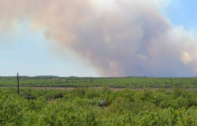 Incendiu de vegetație amenințător, în Giurgiu. Flăcările au distrus 50 de hectare de teren agricol 