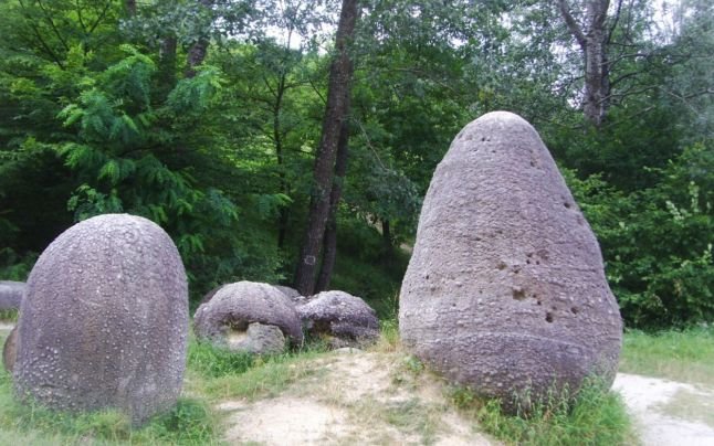 Misterul „pietrelor vii” din România. Au 15 milioane de ani şi cresc după ploaie
