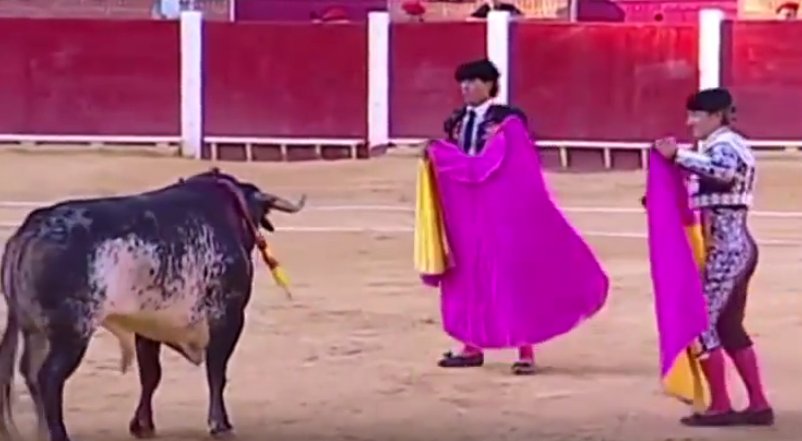 Scene dramatice în Spania: un celebru matador a murit, în direct la TV, împuns de taur
